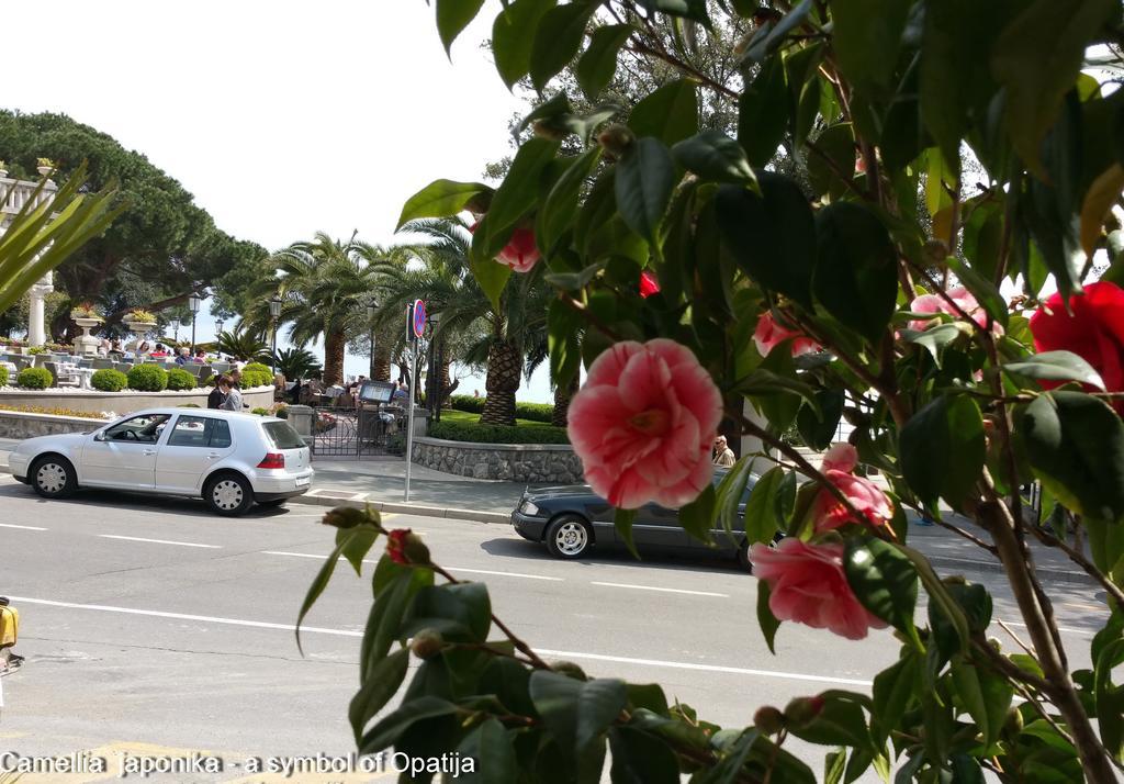 Kamelija Apartment Opatija